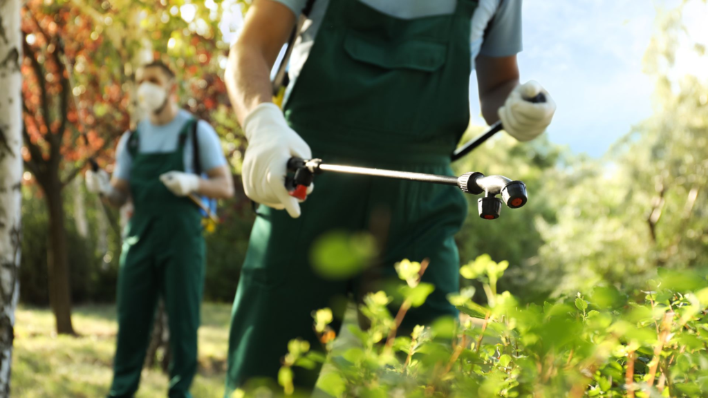  pest control Edmonton